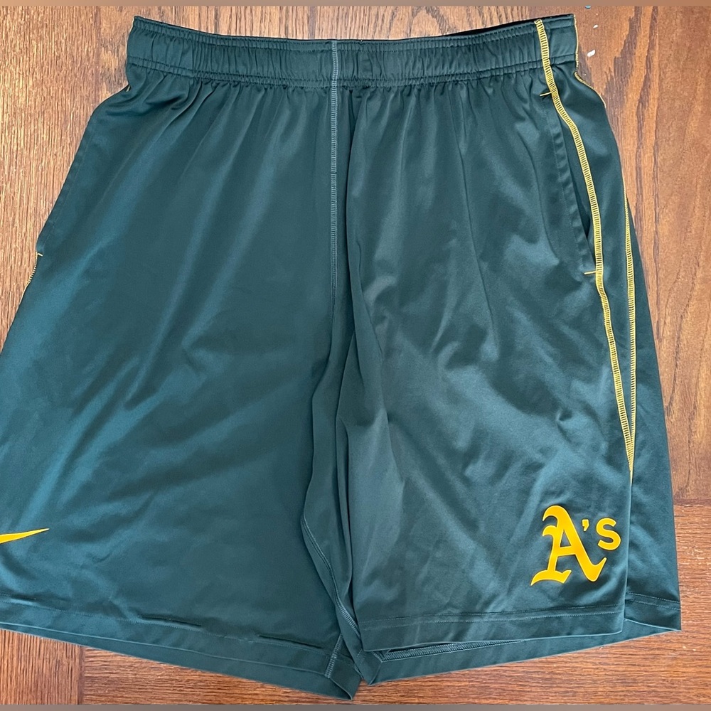 Nike Dri fit performance baseball shorts size XL